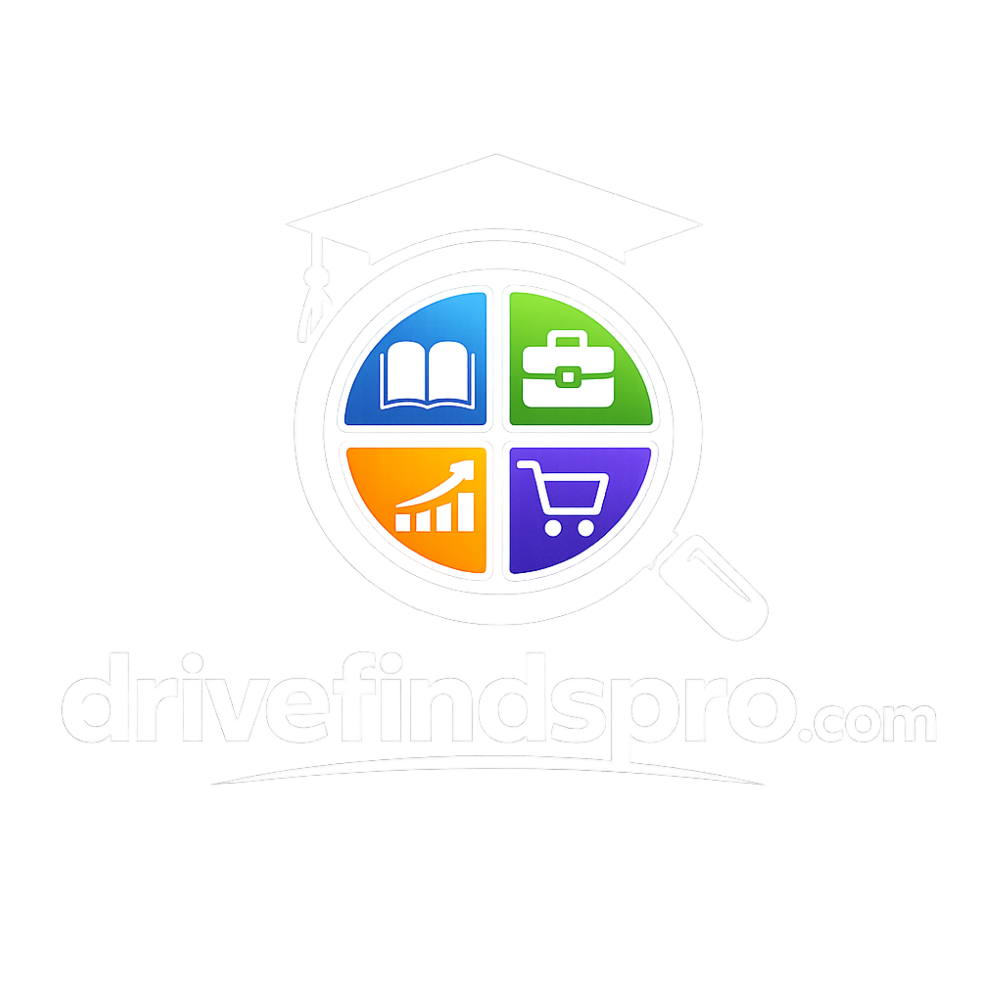 Drive Finds Pro